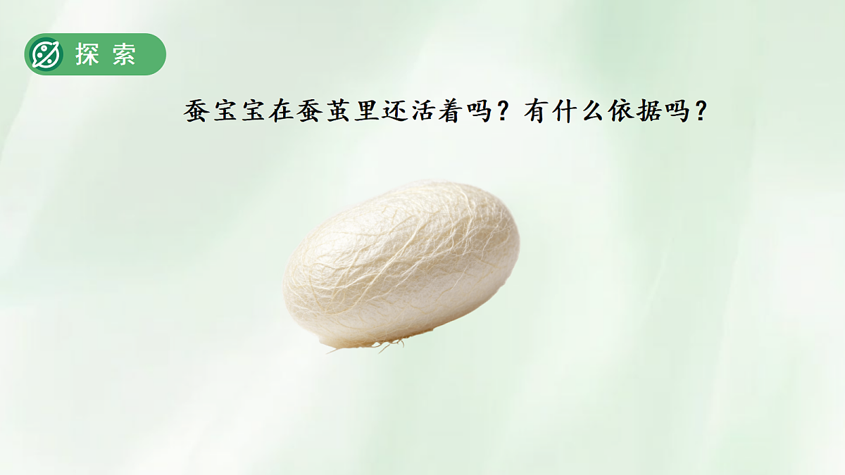 18253577第7页