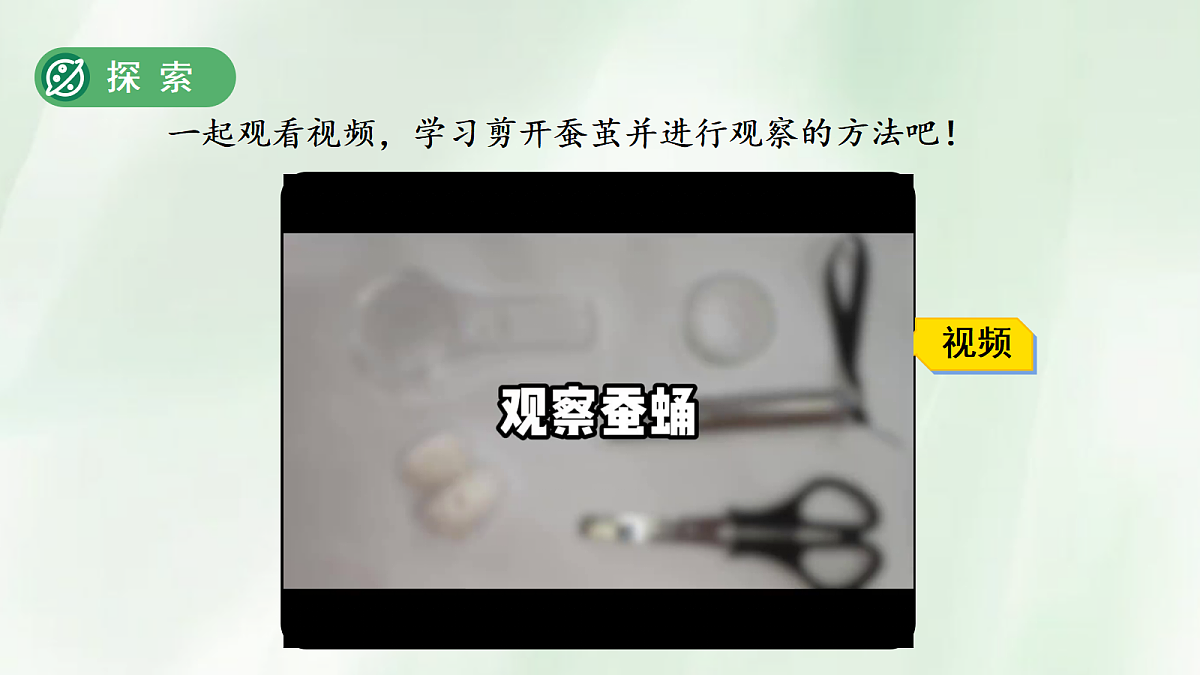 18253577第8页