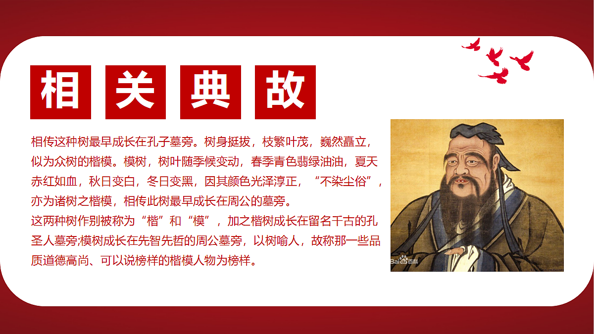 18256118第6页