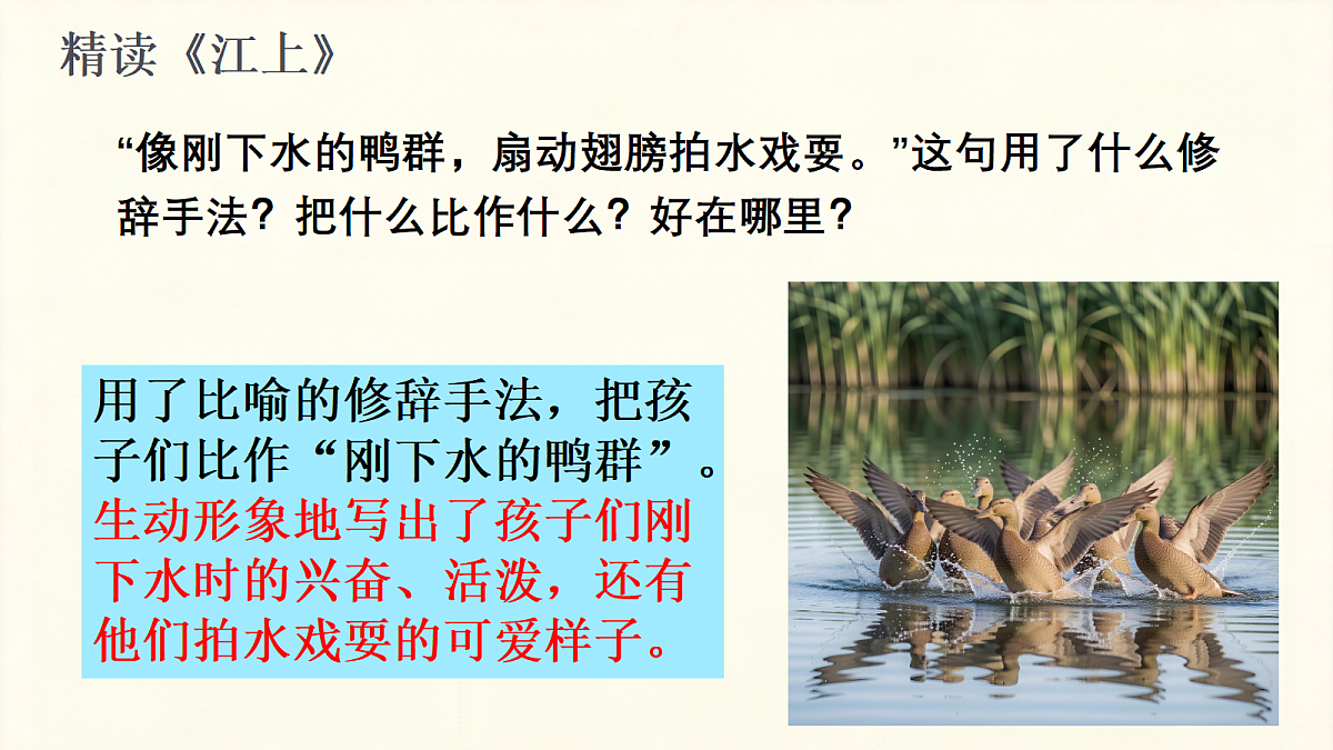 18259447第5页
