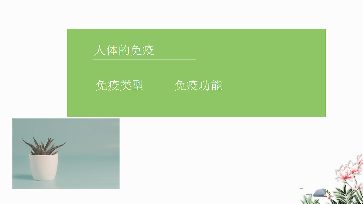 18262430第3页