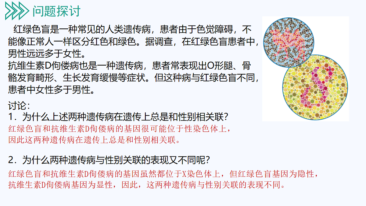 18262435第3页
