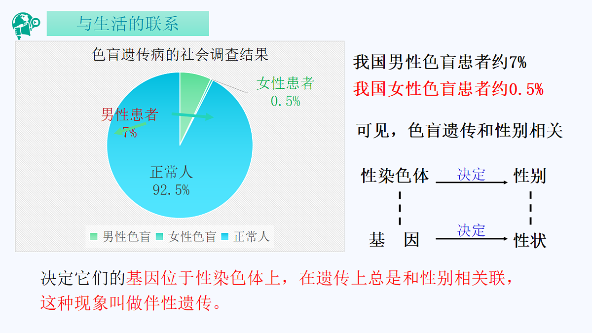 18262435第4页