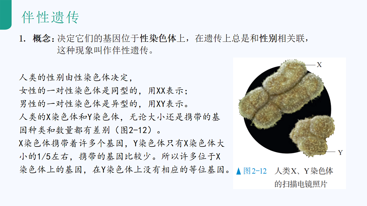 18262435第5页