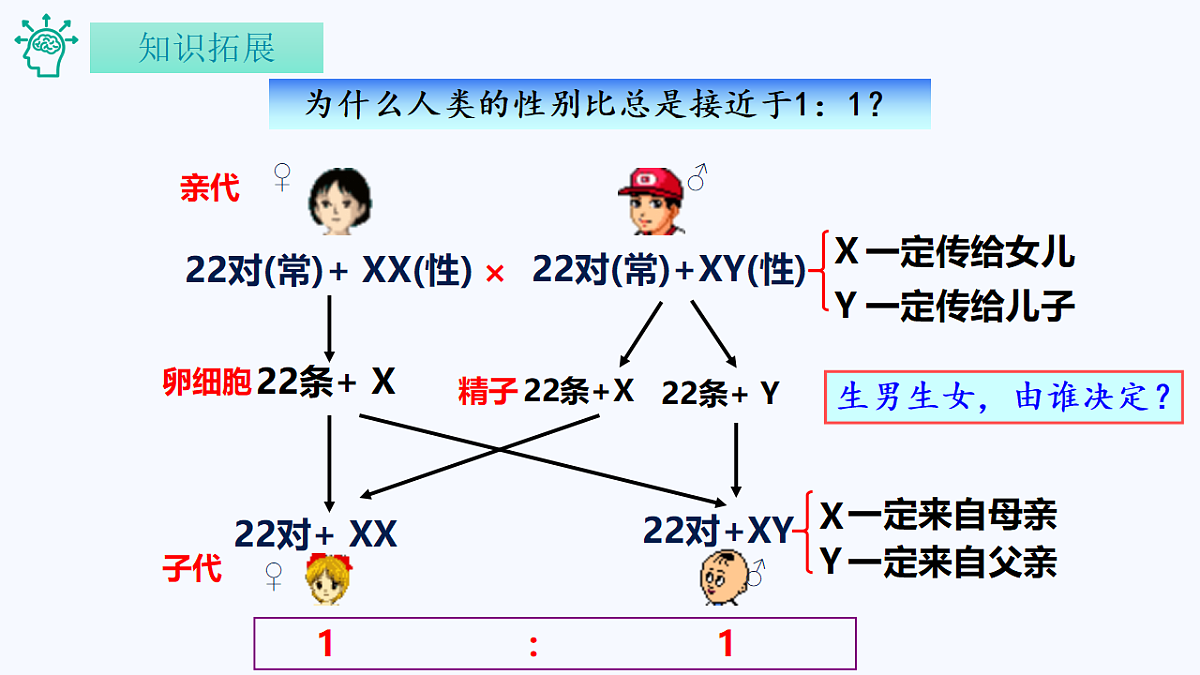18262435第6页