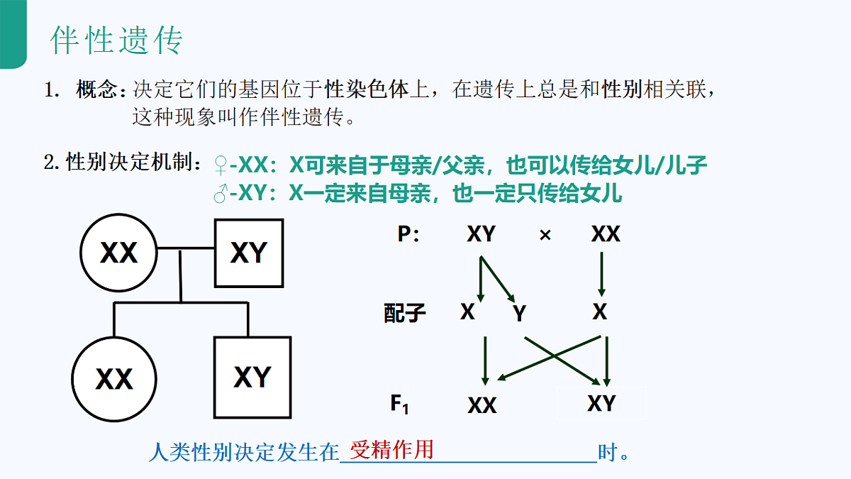 18262435第7页