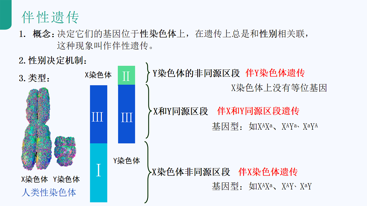 18262435第8页
