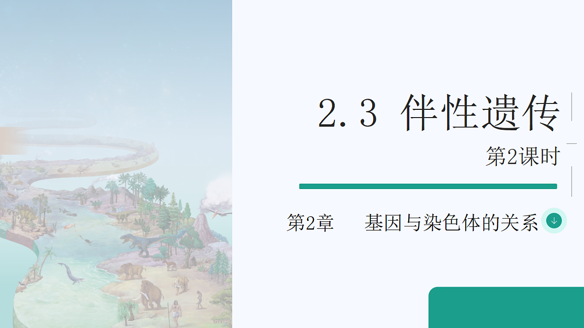 18262437第1页