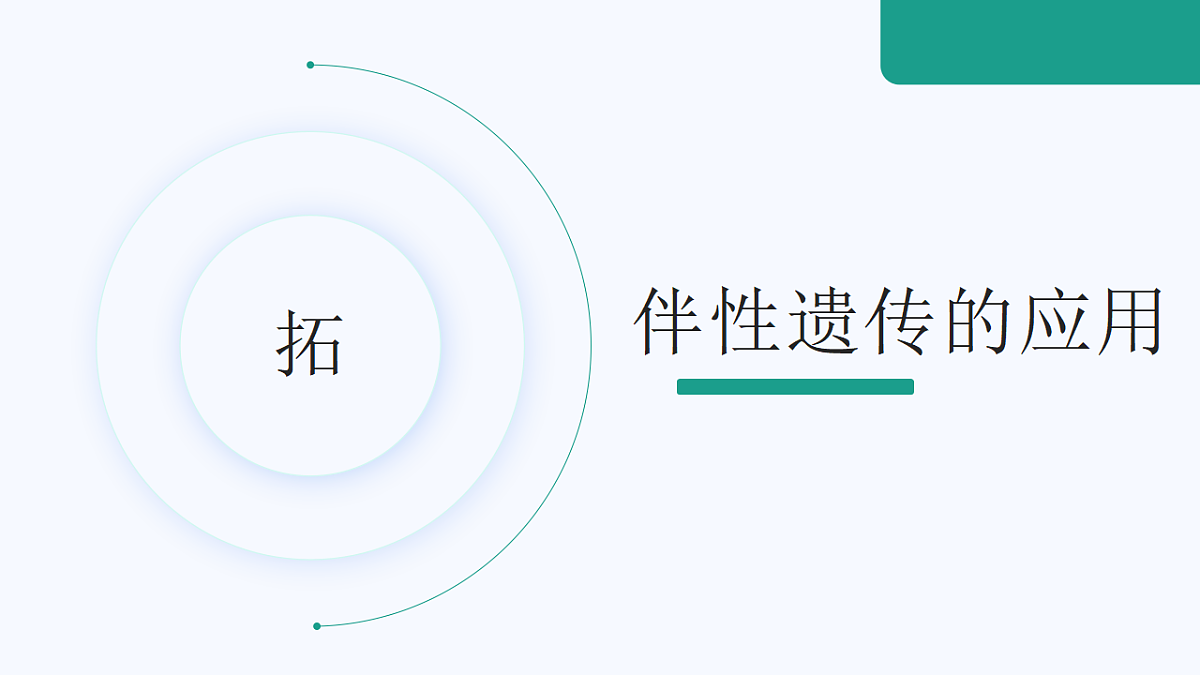 18262437第5页