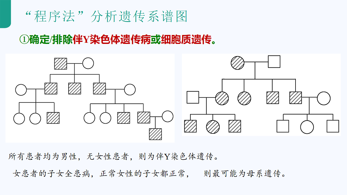 18262437第6页