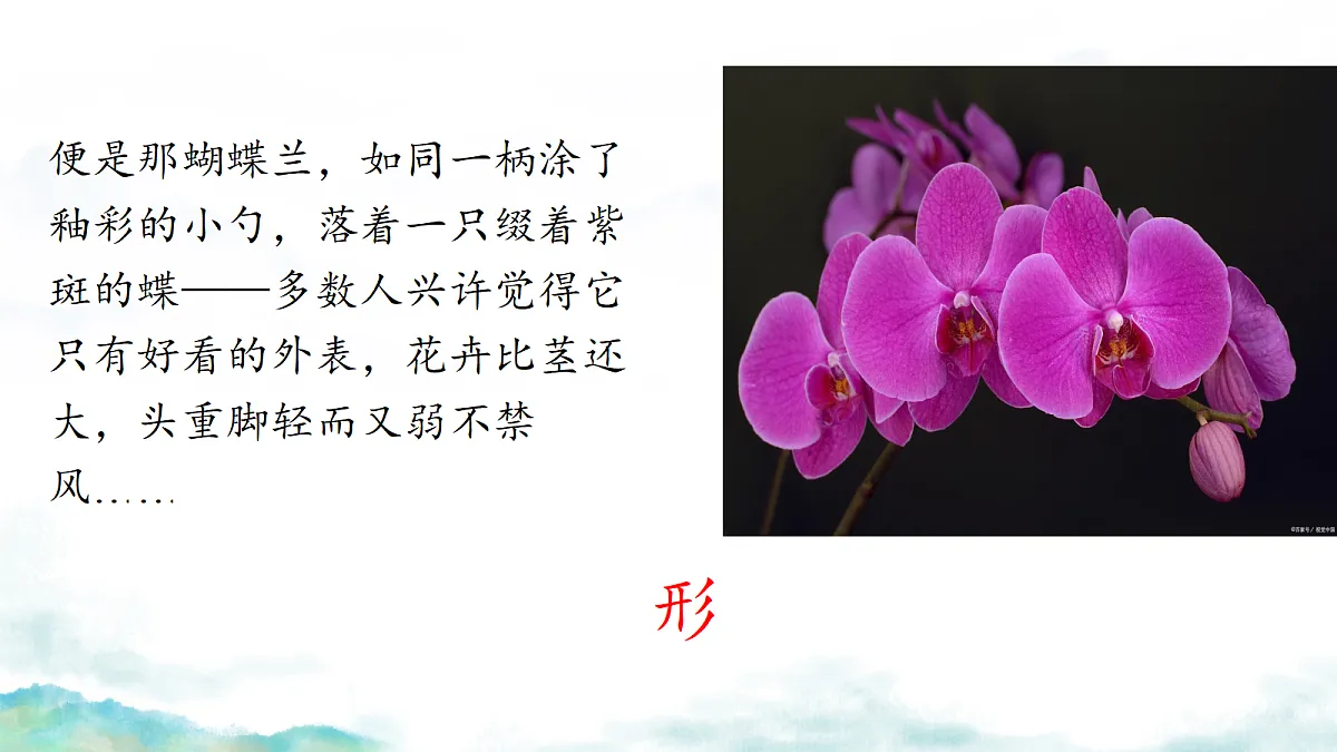 18262845第6页