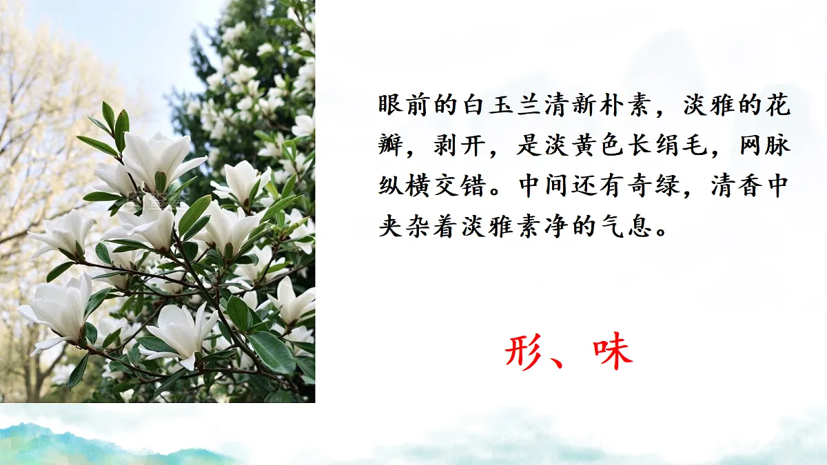 18262845第7页