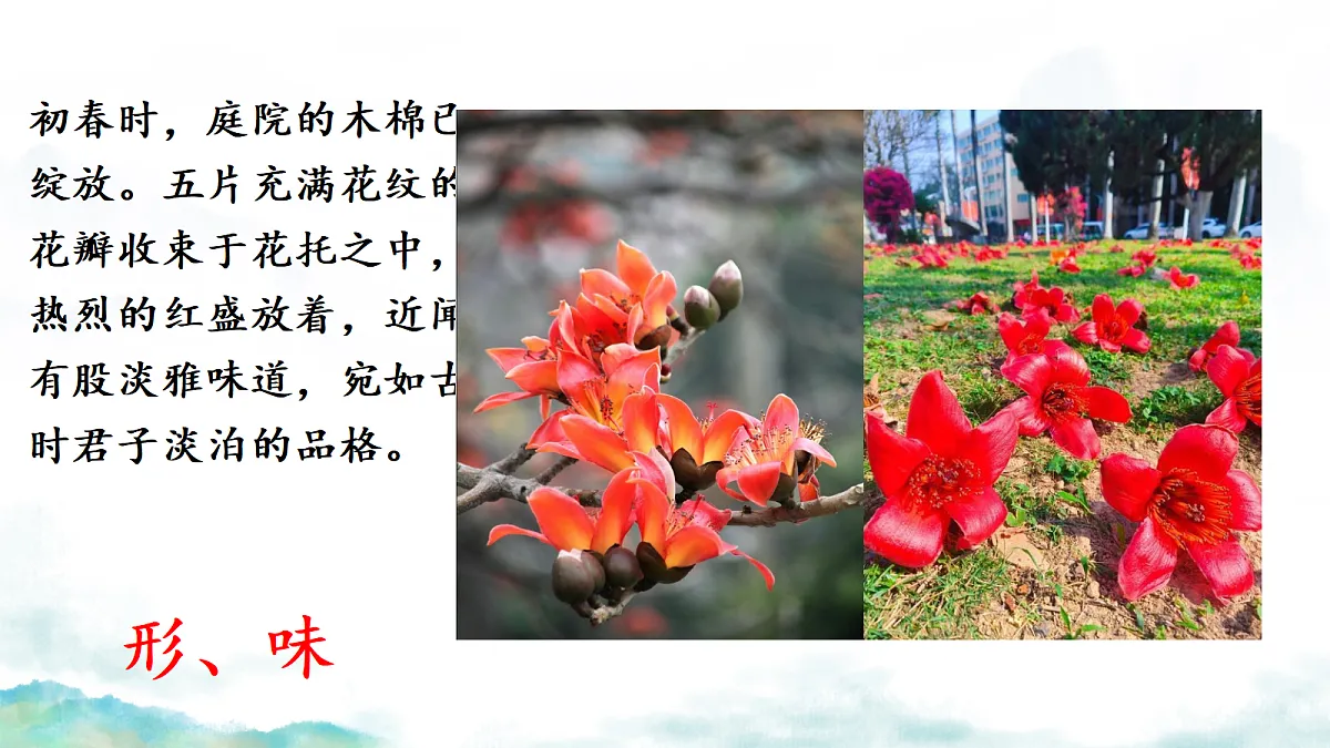 18262845第8页