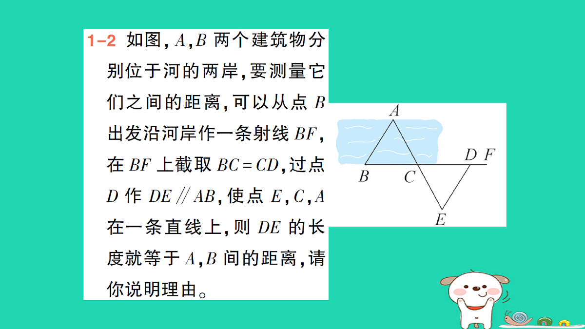 18264925第5页