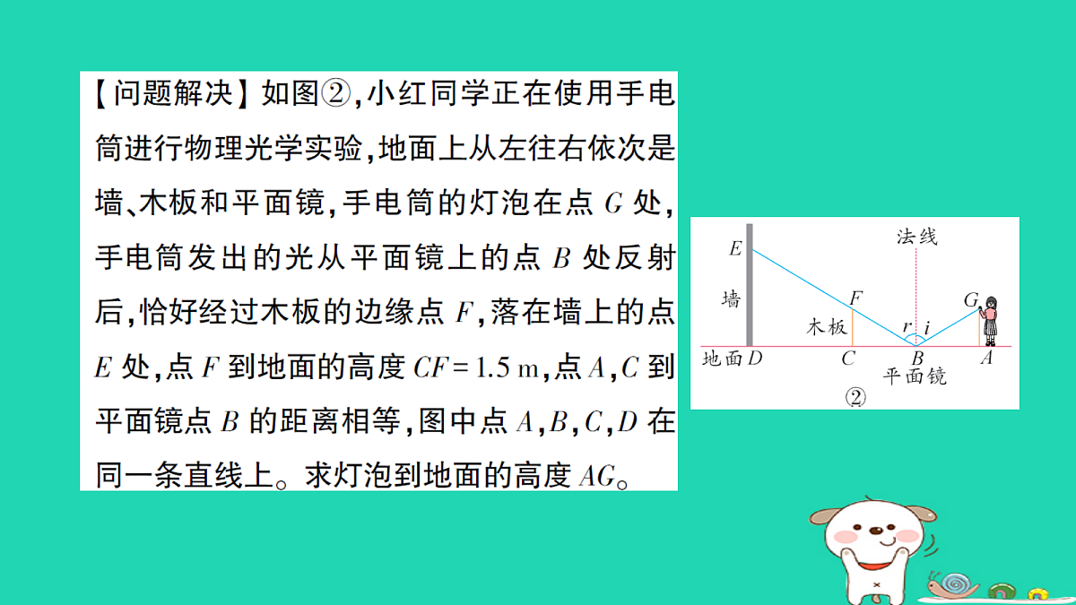 18264925第8页
