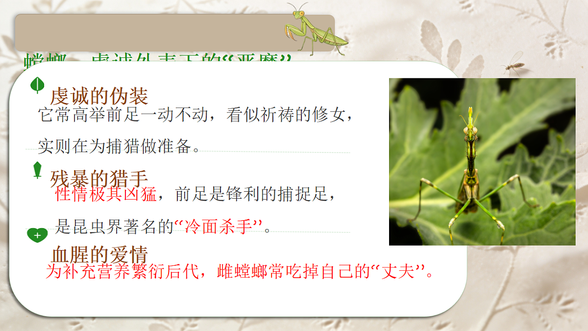 18268016第8页