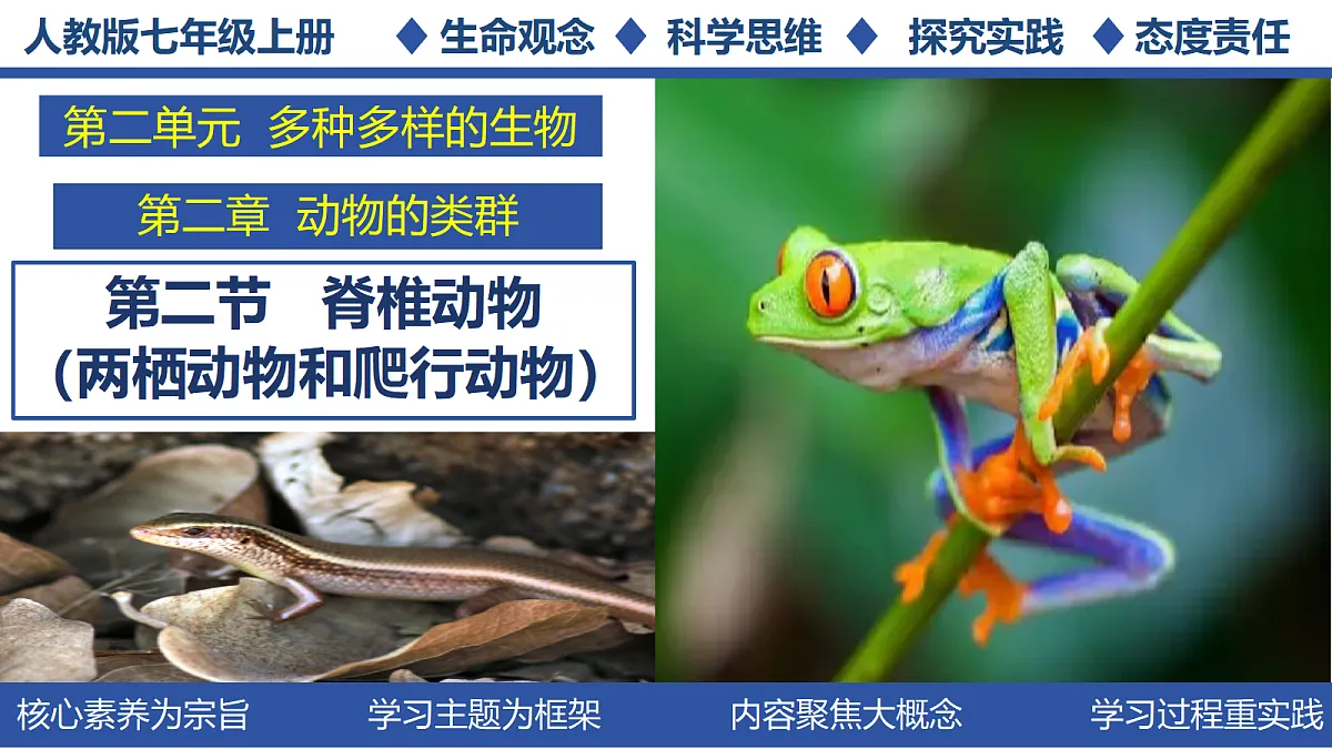 18268620第1页