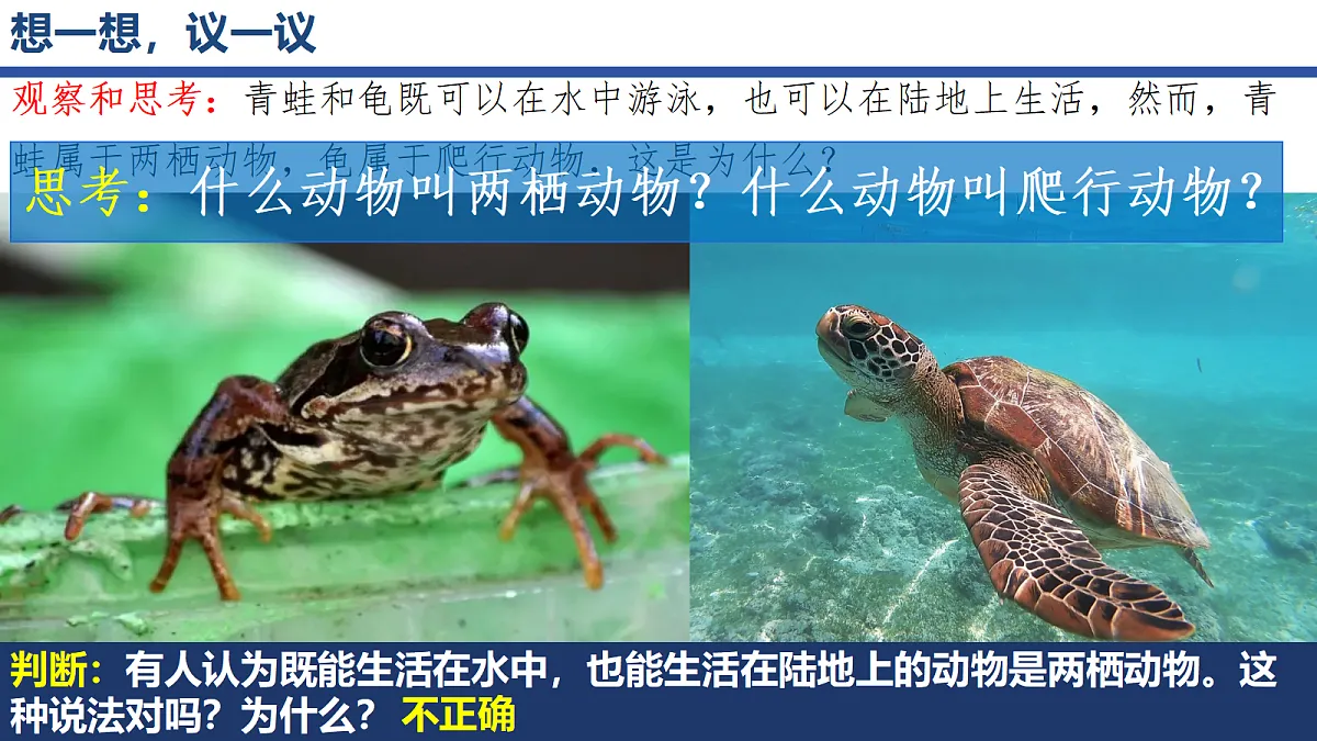 18268620第2页