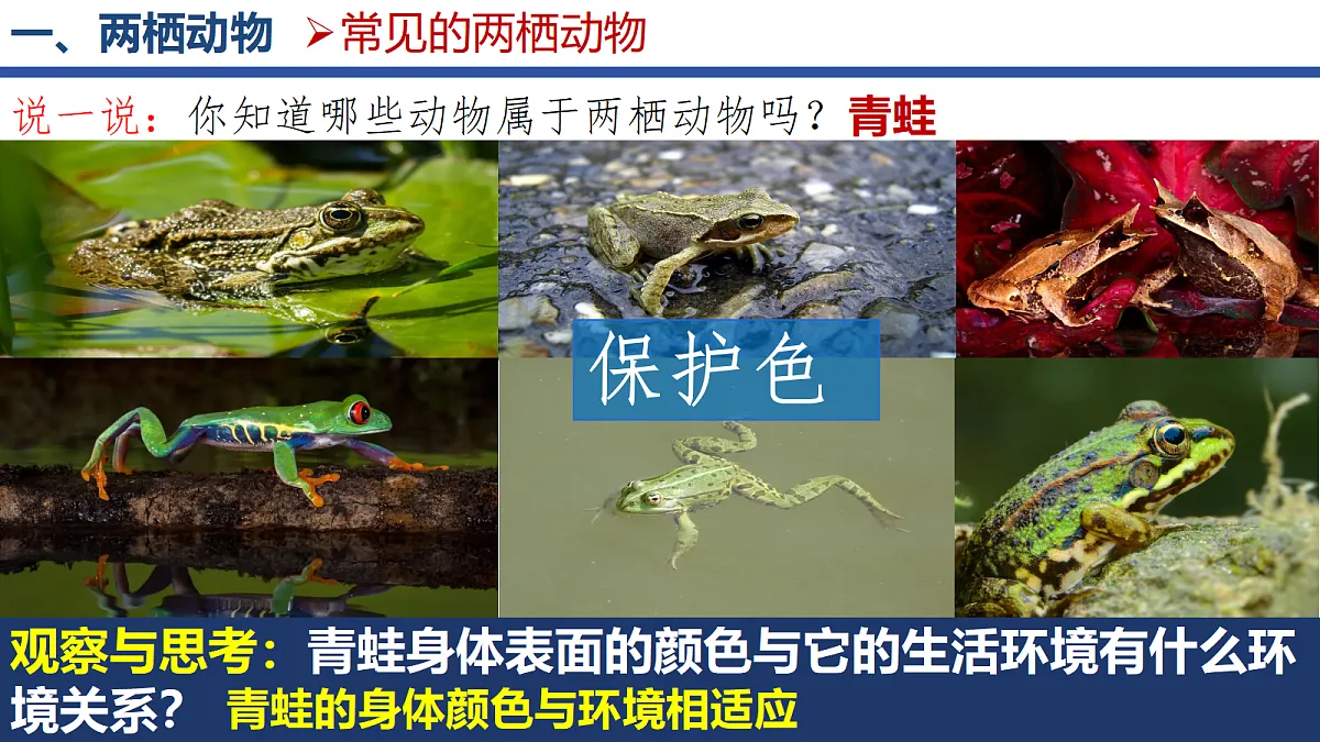 18268620第3页