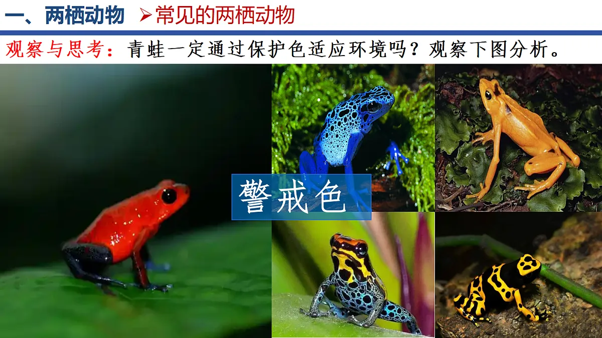 18268620第5页