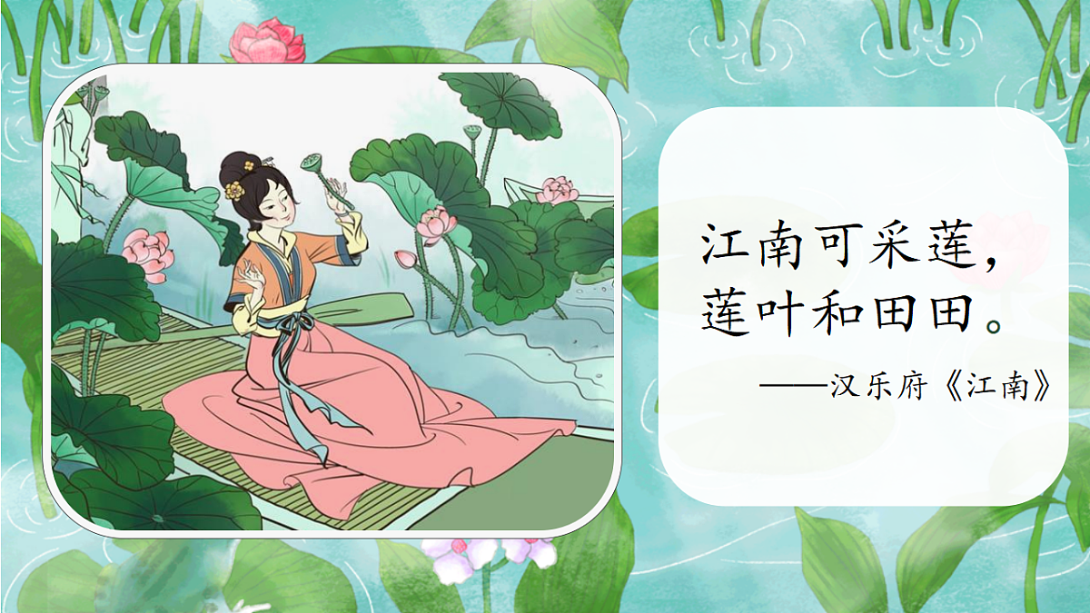 18268631第2页