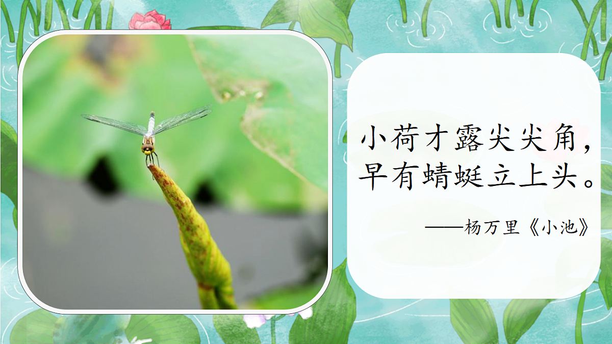 18268631第4页