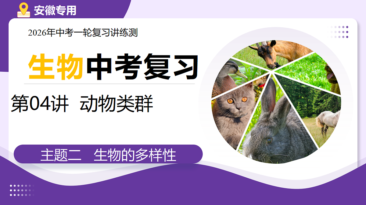 18268719第1页