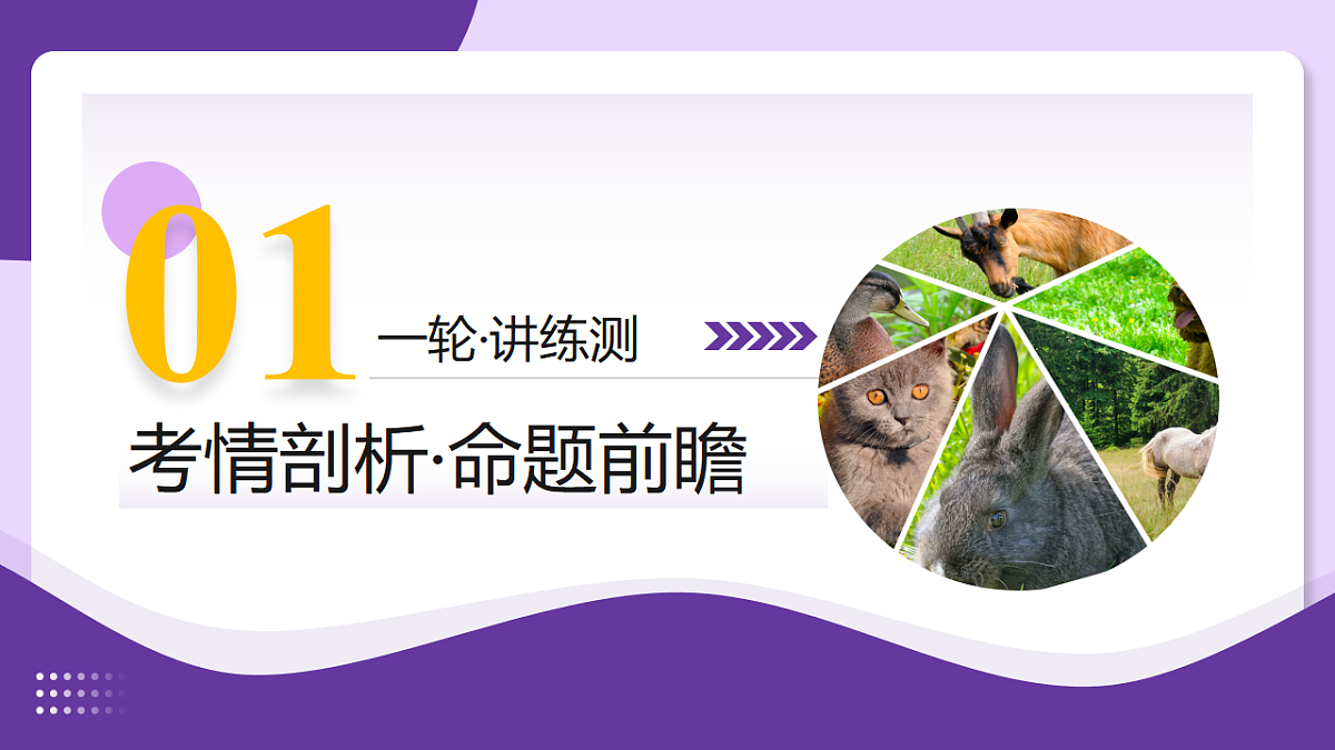 18268719第3页