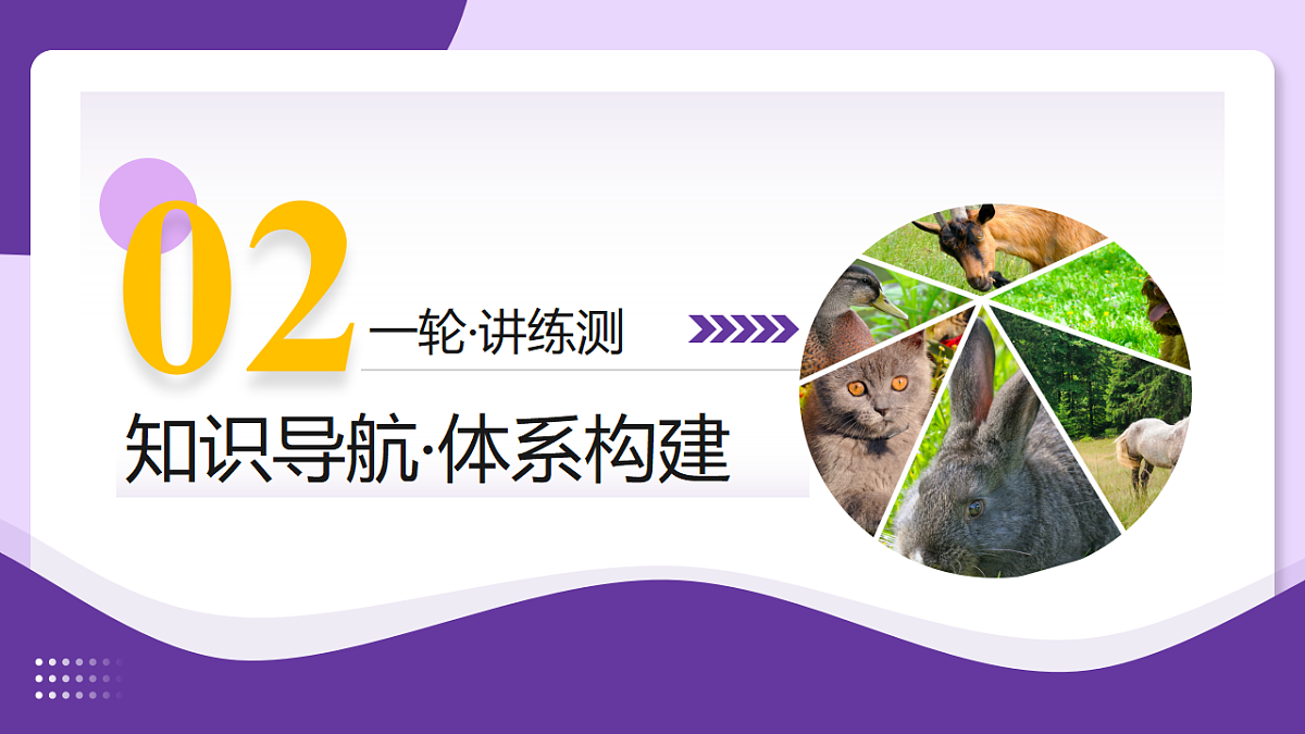 18268719第6页