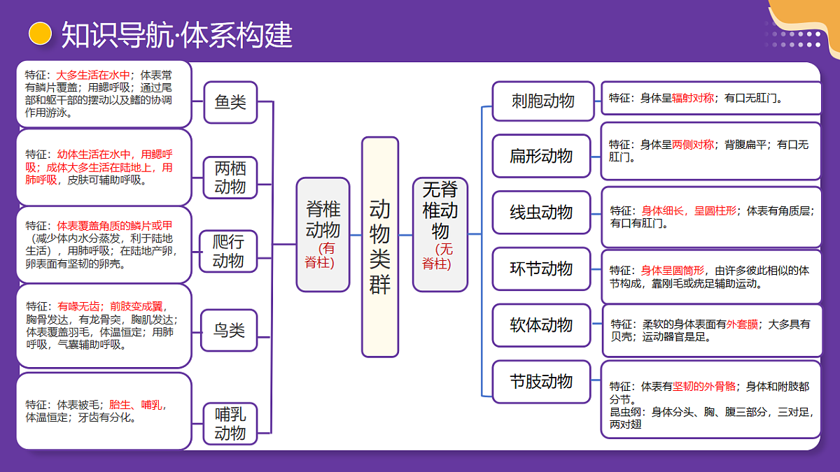 18268719第7页