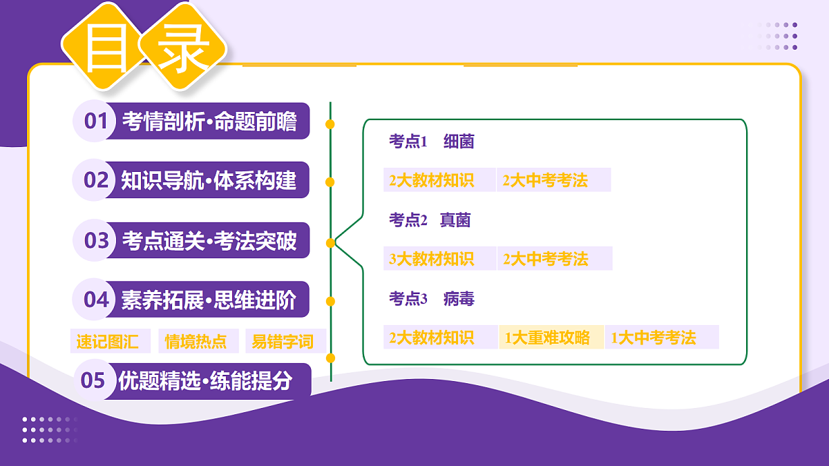 18268720第2页
