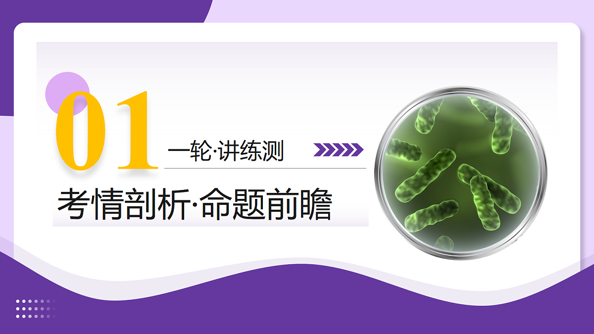 18268720第3页