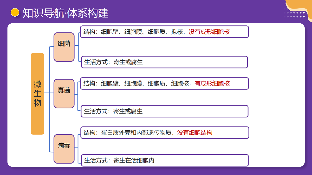 18268720第7页