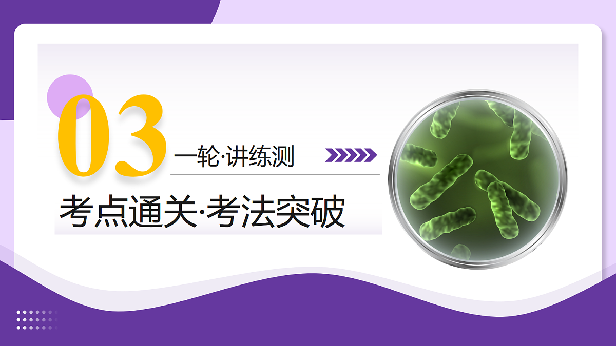 18268720第8页