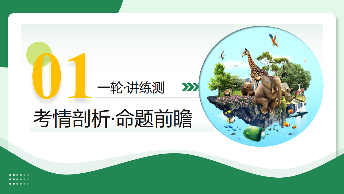 18268722第3页