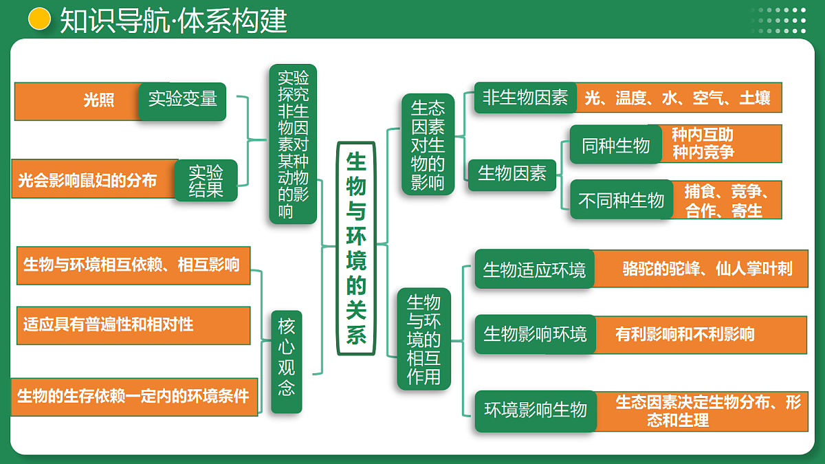 18268723第6页