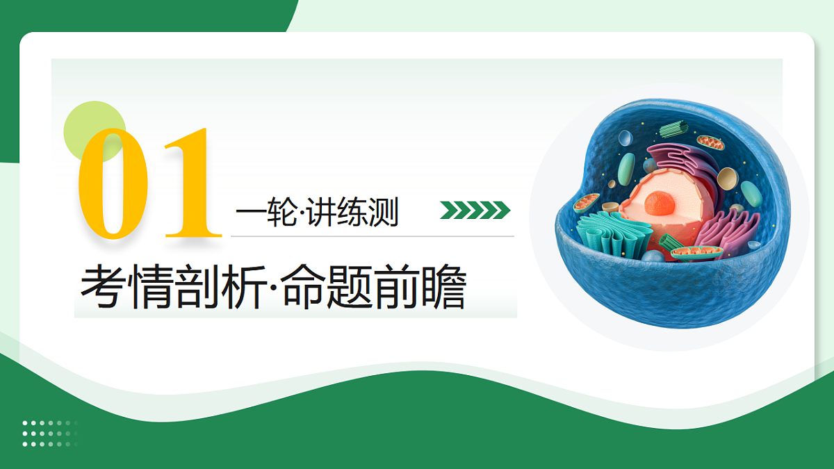 18268724第3页