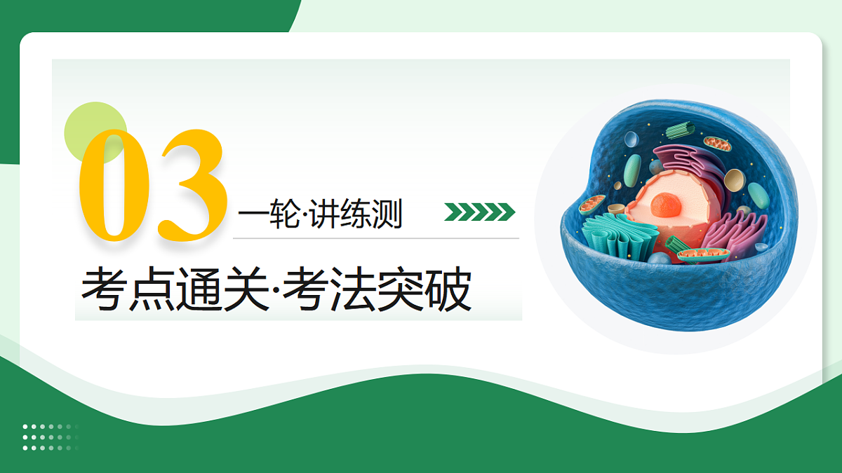 18268724第8页