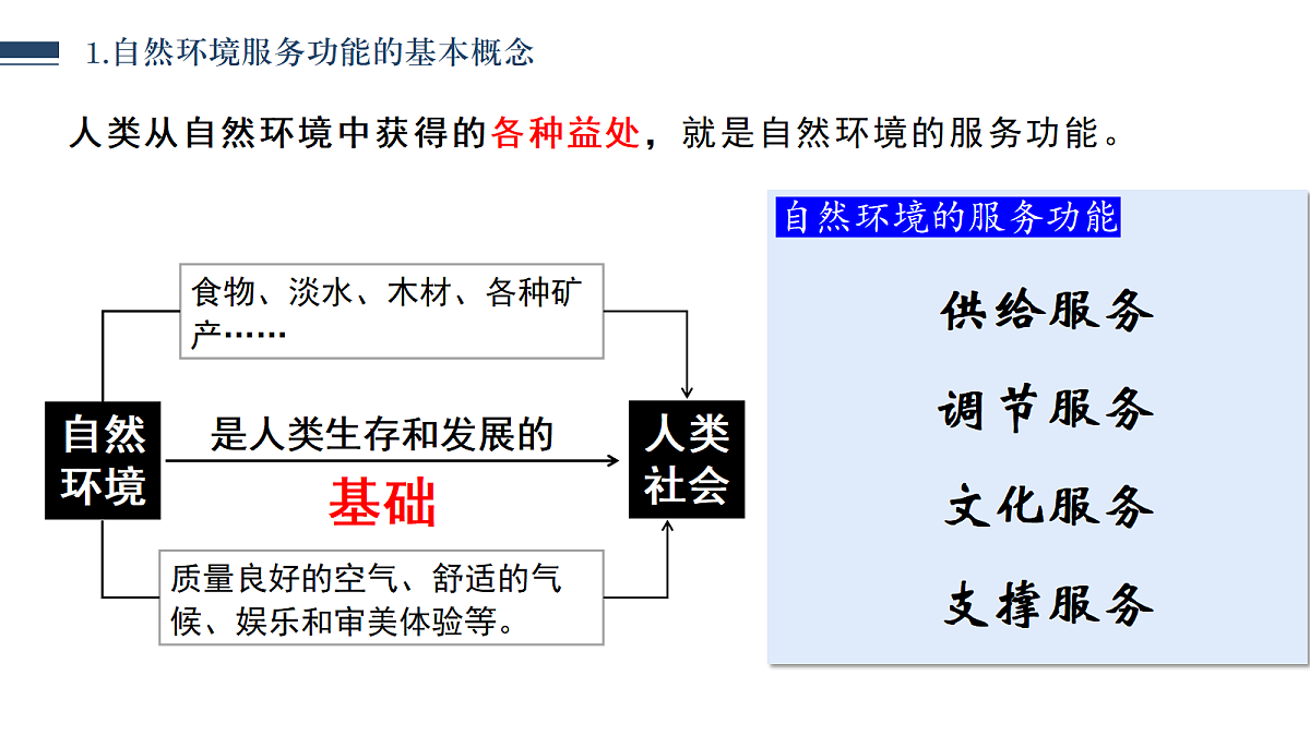 18268736第5页