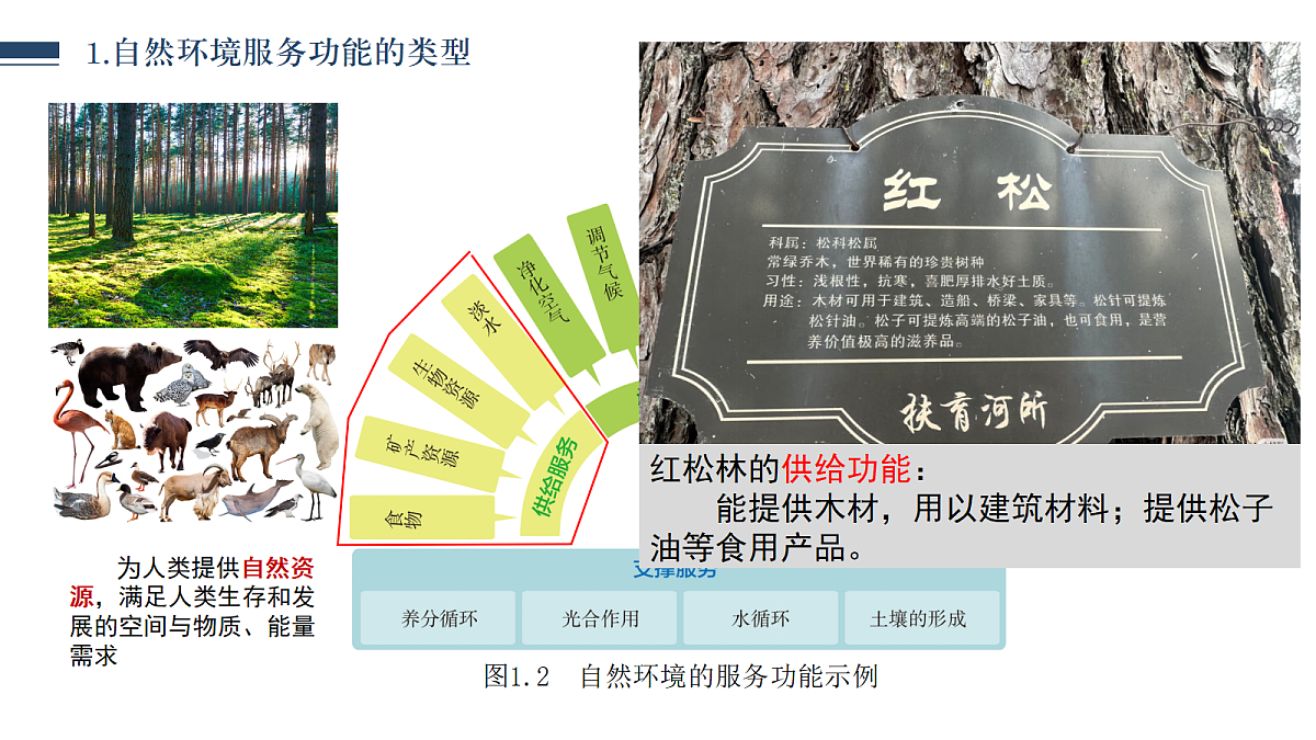 18268736第7页