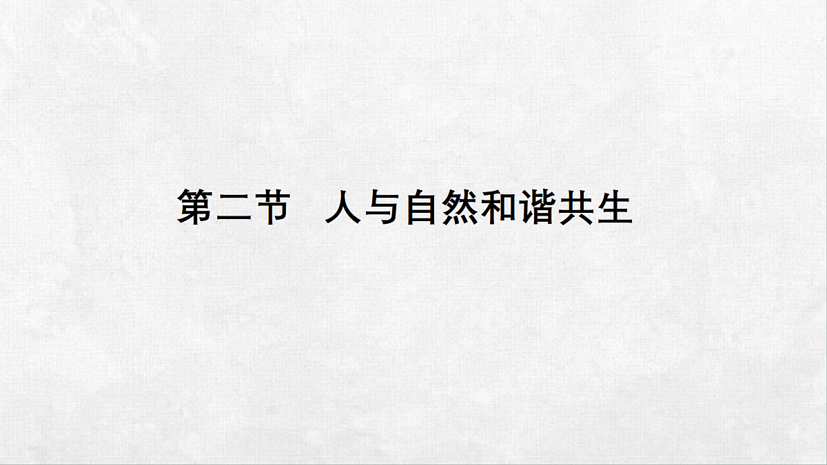 18268995第2页