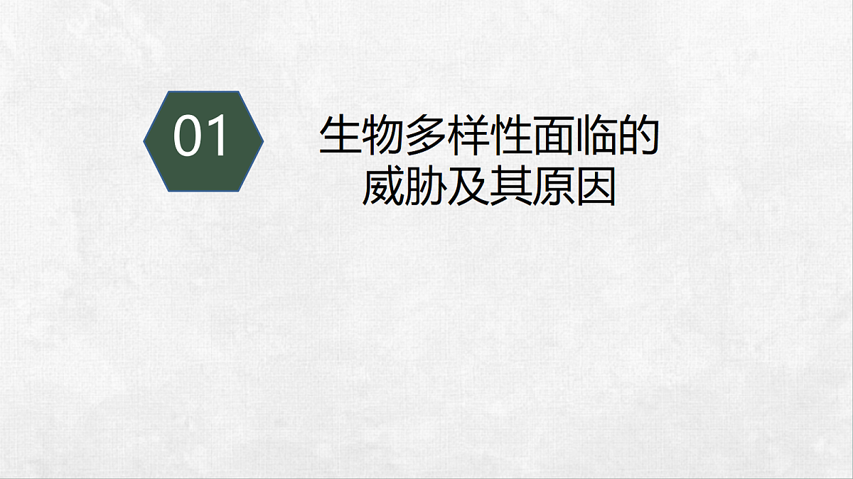 18268995第4页