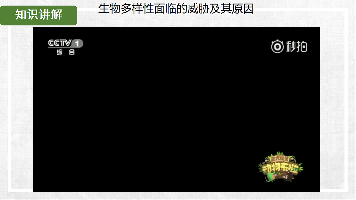 18268995第5页