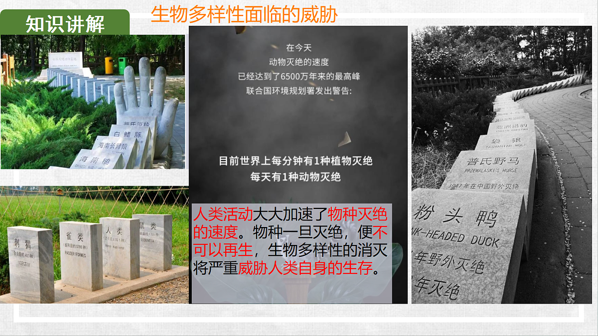 18268995第6页