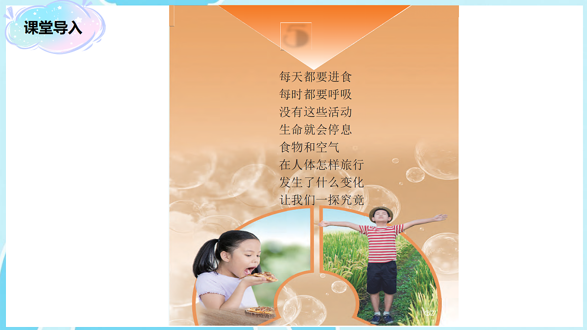 18271060第4页