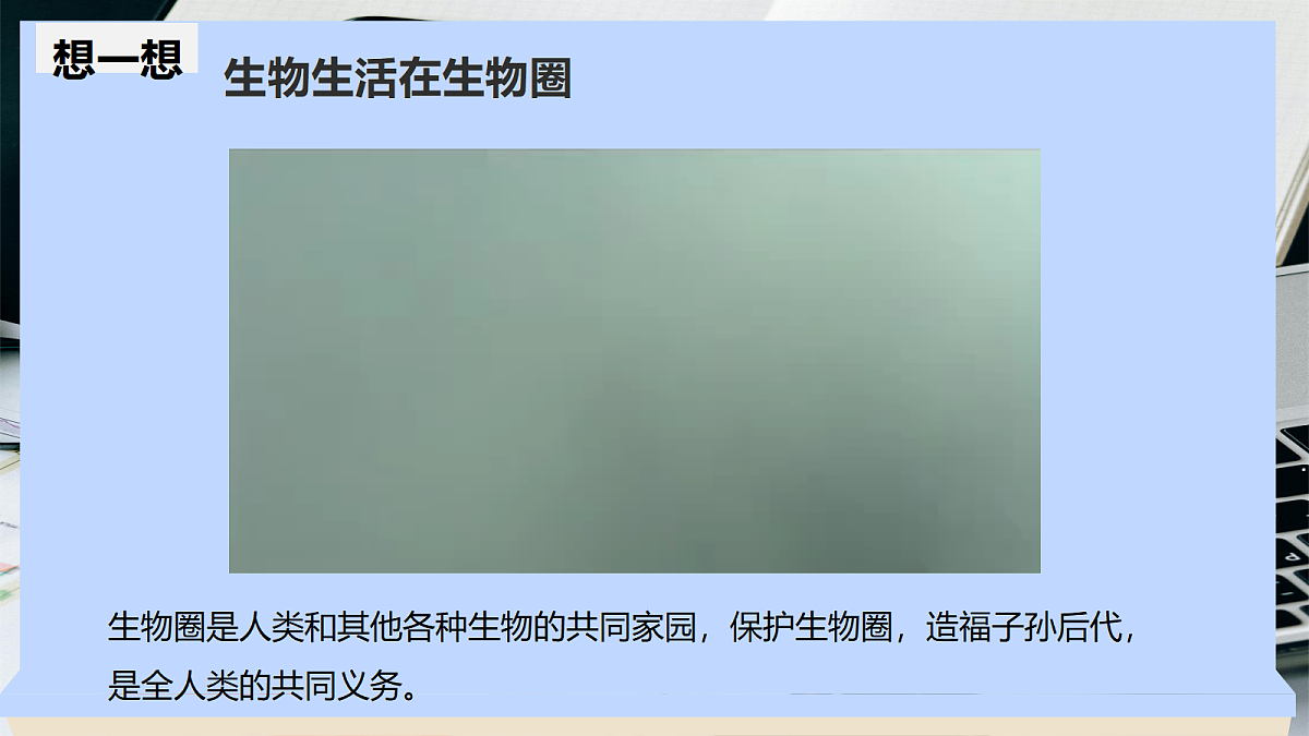 18271141第3页