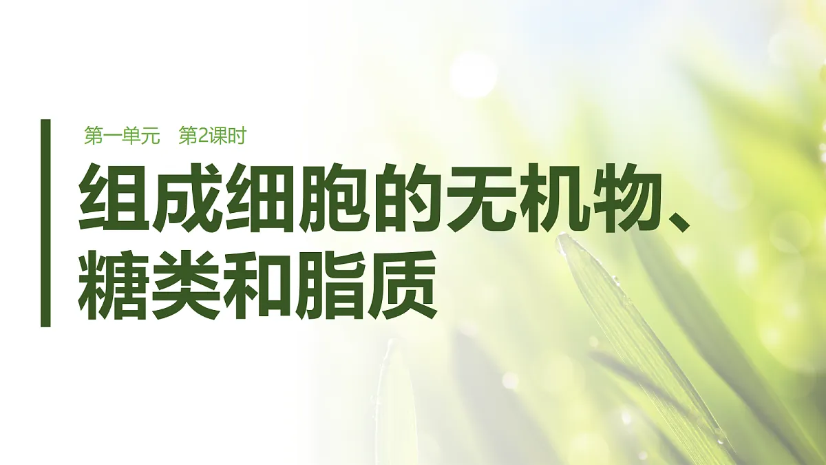 第一单元 第2课时 组成细胞的无机物、糖类和脂质第1页