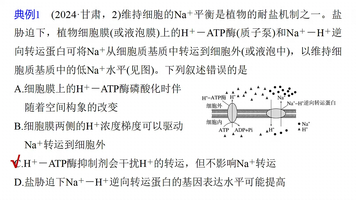 第二单元 专题突破1 主动运输的类型第8页