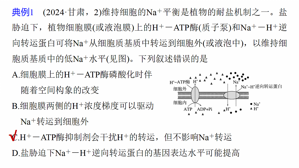 第二单元 专题突破1 主动运输的类型第8页