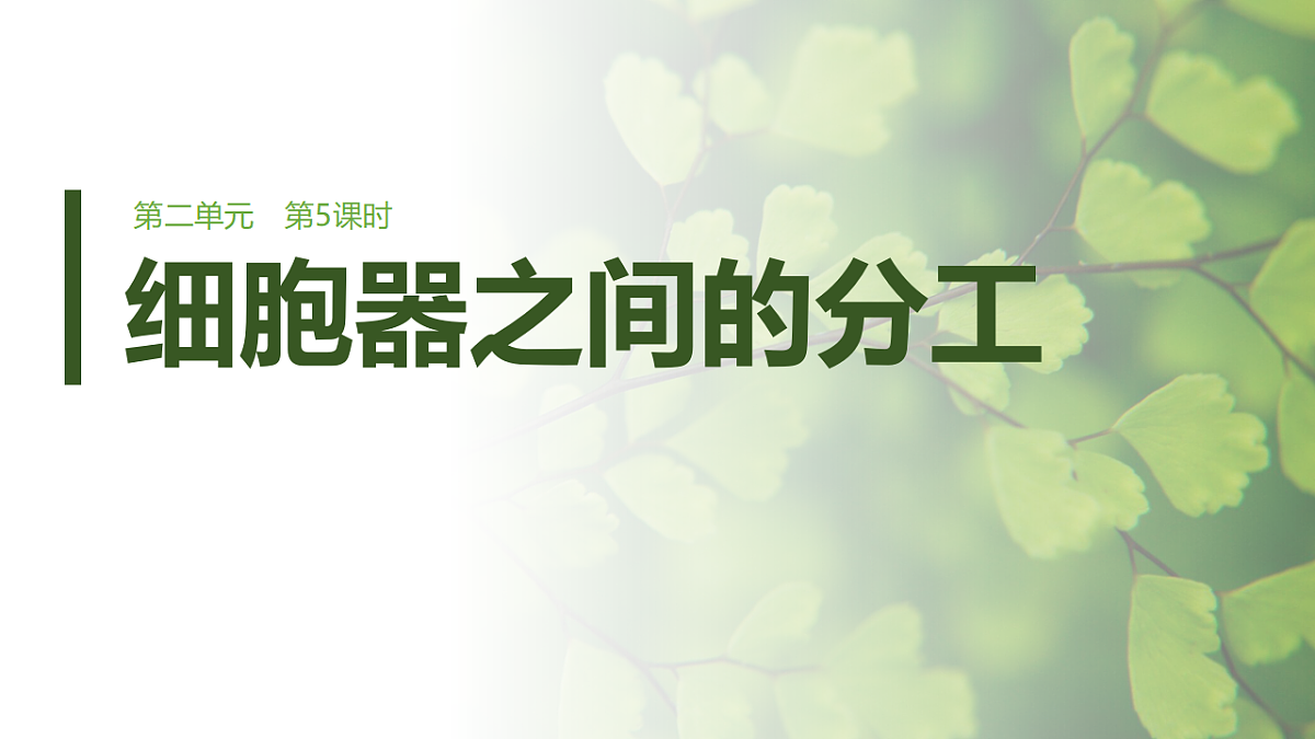 第二单元 第5课时 细胞器之间的分工第1页